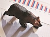 bear market, sensex, nifty, loss, growth, ...